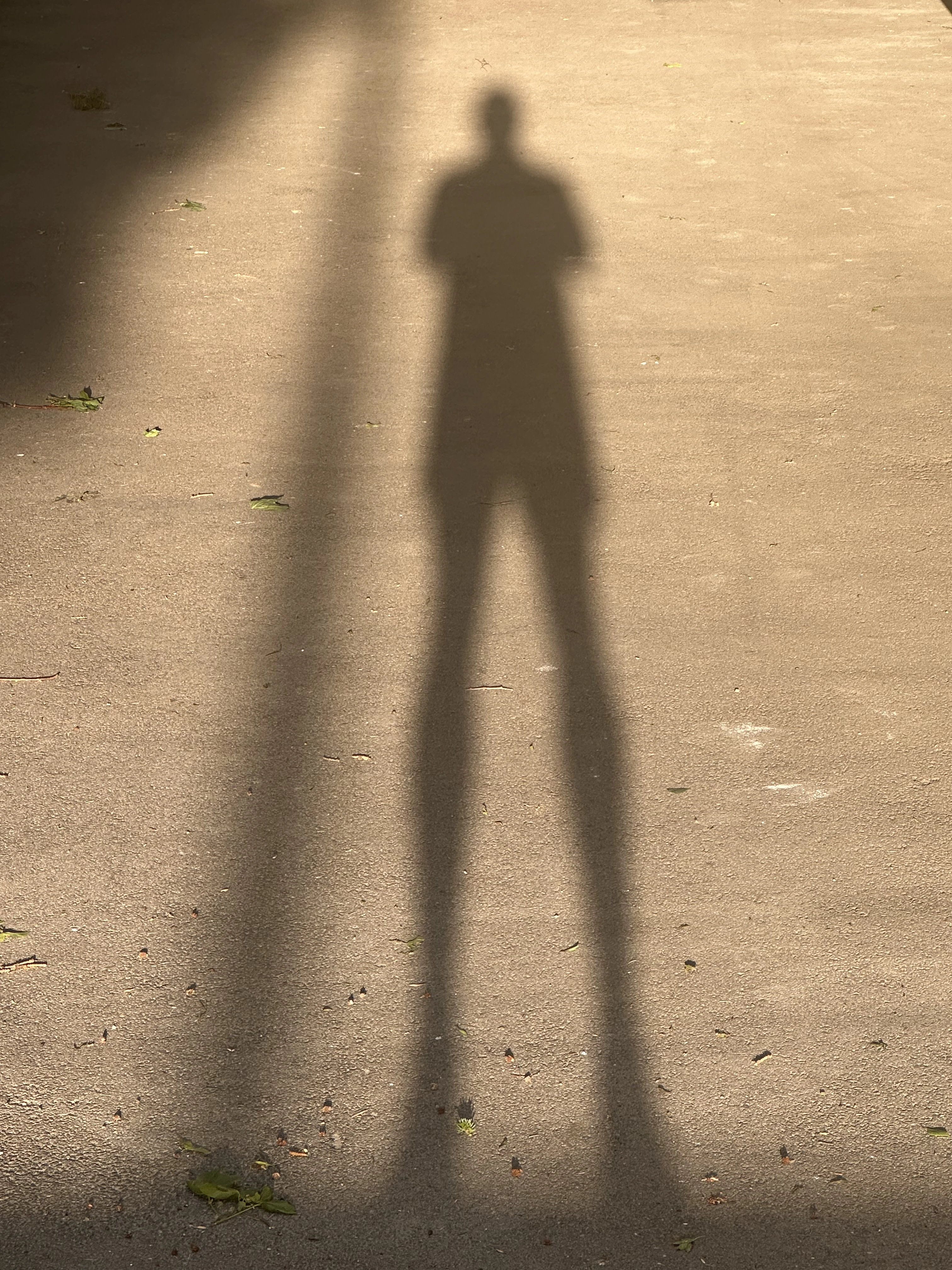 Shadowing: A Powerful Language Learning Technique